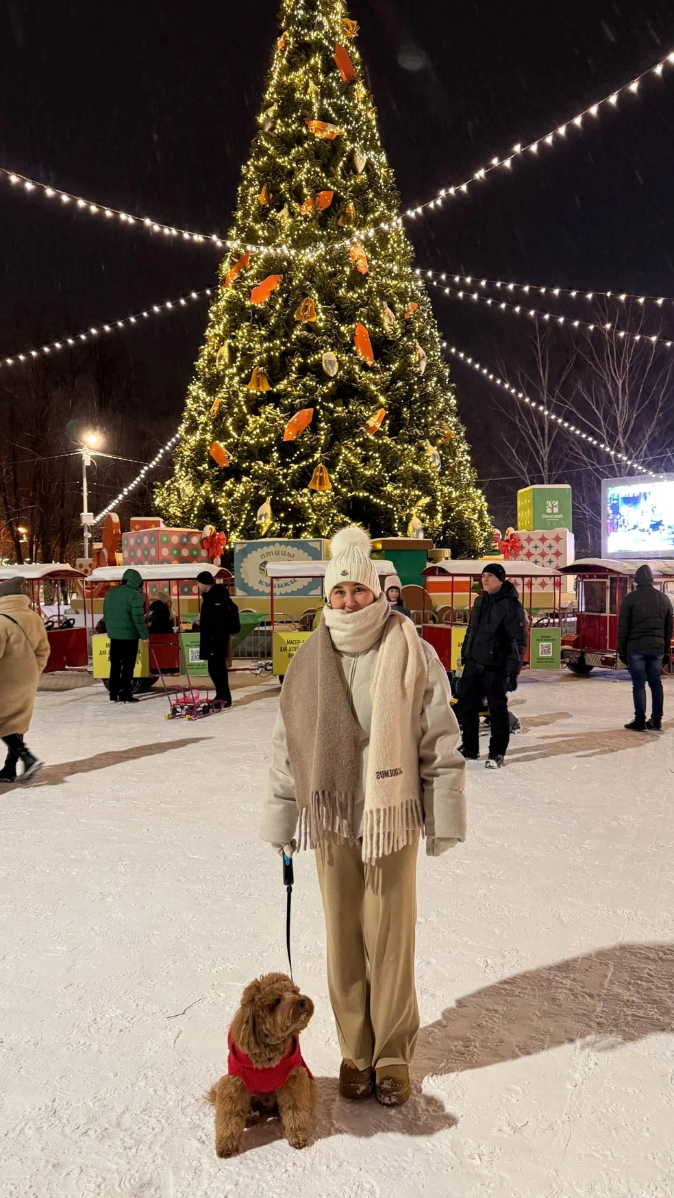 Посмотрите, какая в ЦПКиО новогодняя атмосфера | Источник: kamillaslifeandmore / T.me