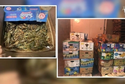 Астраханца обвиняют в незаконном обороте 1,7 тонны раков