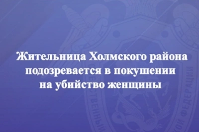 Жительница Холмского района подозревается в покушении на убийство