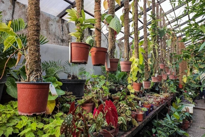 Экскурсии в нижегородском Ботаническом саду