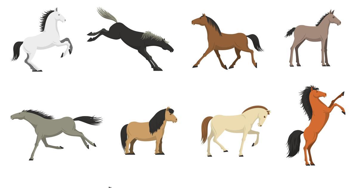 Какой рисунок можно выбрать лошадт. Быбери лошадь тест. Какая лошадь подходит детям про. На лошади на выборы картинки.