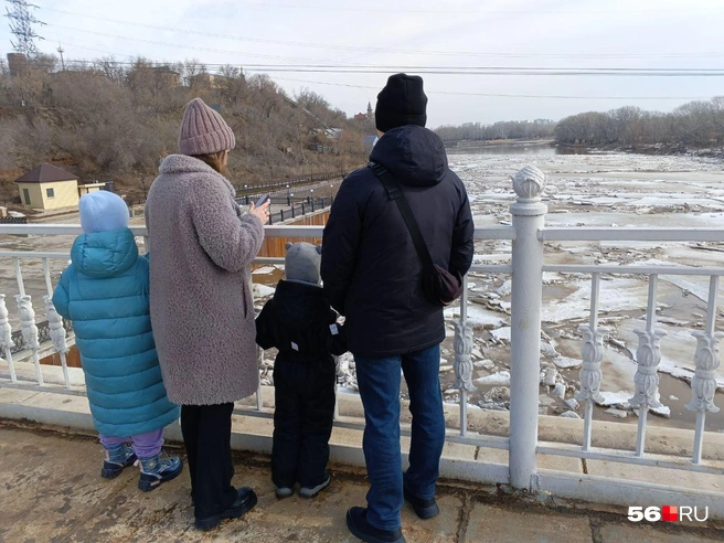 Смотреть на ледоход оренбуржцы приходят семьями | Источник: Владислав Митрошин / 56.RU