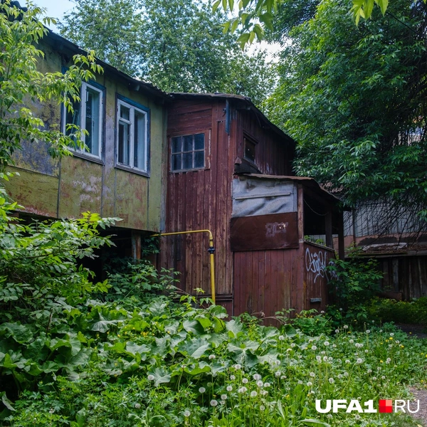 Источник: Булат Салихов / UFA1.RU