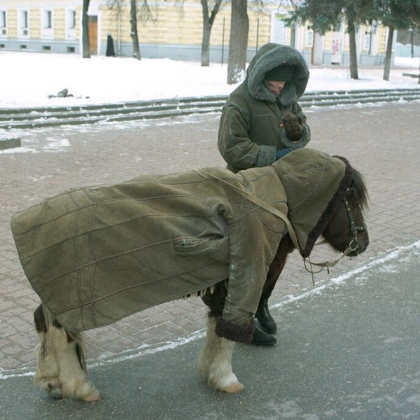 Источник: Николай Мошков / Pastvu.com