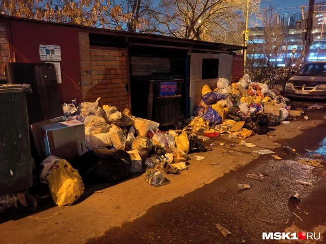 Мусорная площадка в центре столицы | Источник: читатель MSK1.RU