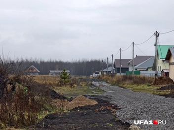 Источник: Булат Салихов / UFA1.RU