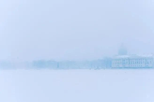 Источник: Наталья Гончарова / «Фонтанка.ру»