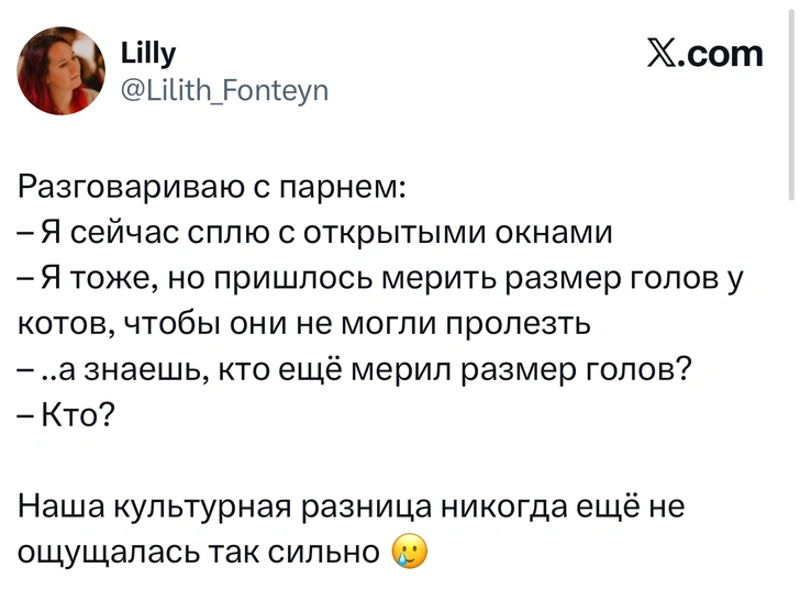 Источник: X (Twitter)