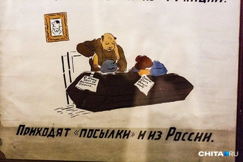 Источник: Ксения Зимина