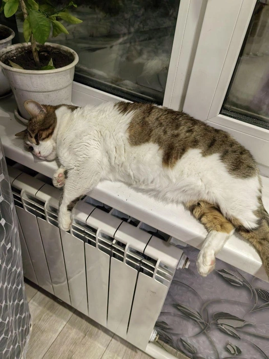 Когда же зима кончится? | Источник: читательница NGS24.RU Анна Панишева