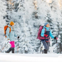 Вы бы хоть забор поставили! Немецкие туристы на снегоступах незаконно пересекли границу РФ