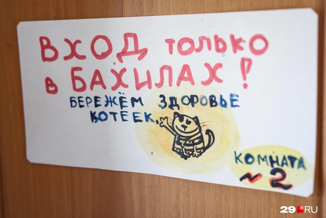 К здоровью животных тут относятся с трепетом | Источник: Роман Филковский