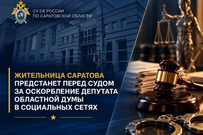 Жительница Саратова ответит за оскорбление депутата