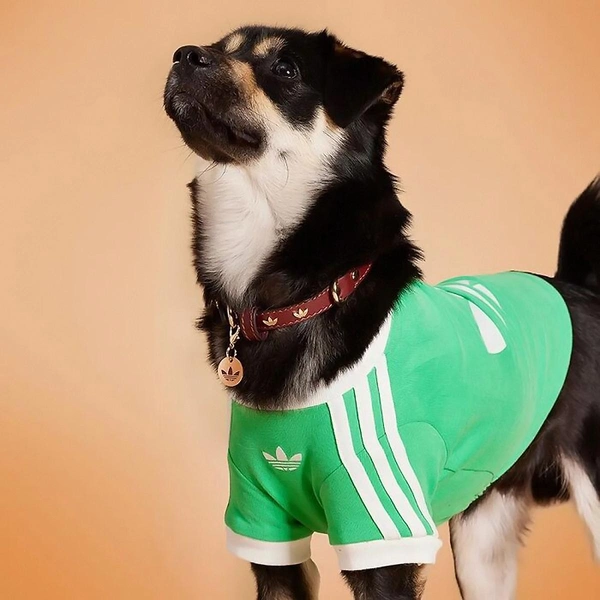 Источник: Adidas China / соцсети