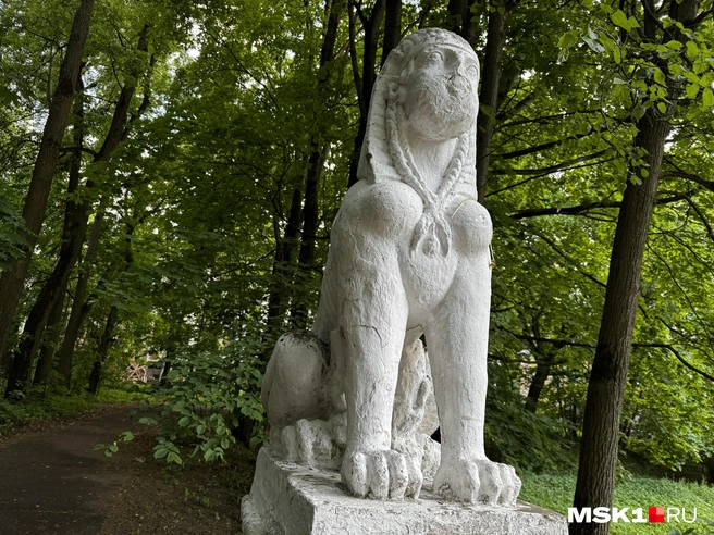 Источник: Алина Мельникова / MSK1.RU