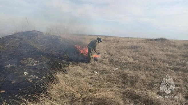 В регионе развернута масштабная профилактическая кампания | Источник: МЧС Алтайского края