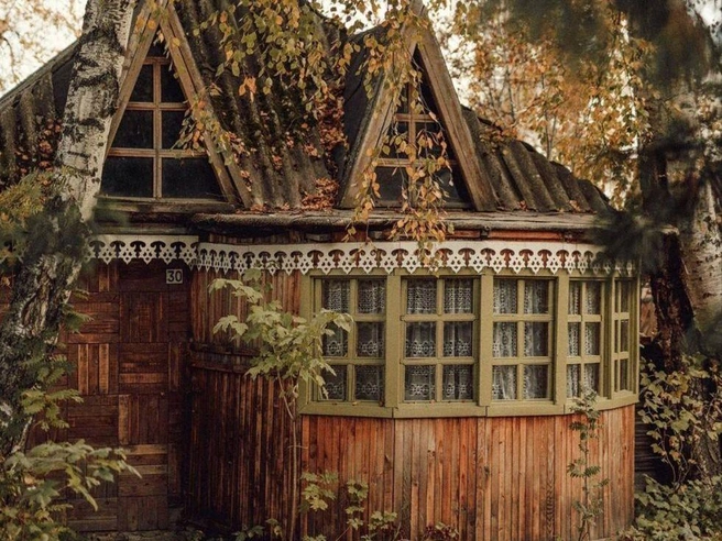 Когда участок превращается в хаос, закон напоминает, что дача — живой организм, и о ней надо заботиться | Источник: Pinterest.com