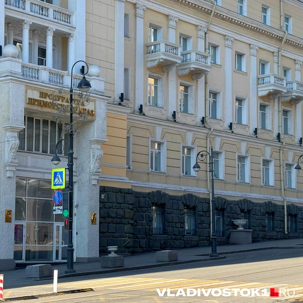 Источник: Елена Буйвол / VLADIVOSTOK1.RU