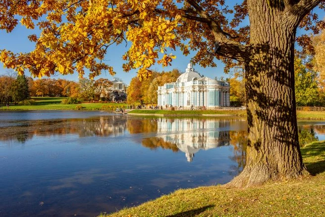 Источник: iStock/Elena Zolotova