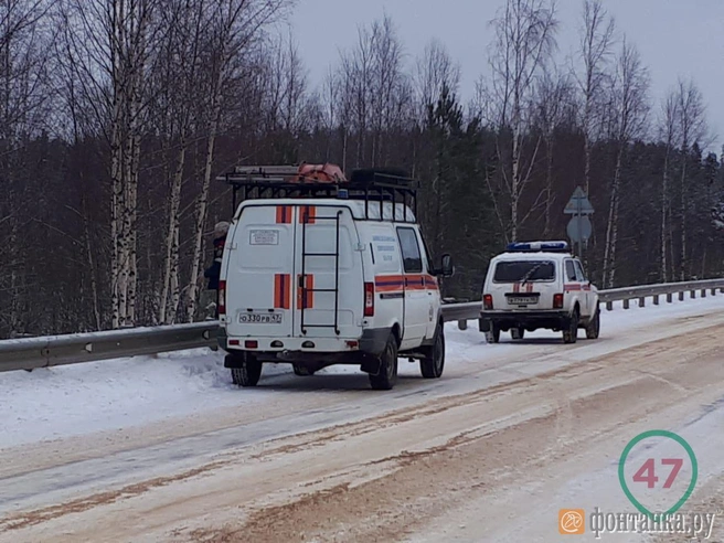 Источник: 47news