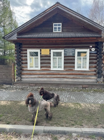 Источник: Глеб Васильев