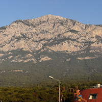 Аватарка Тася