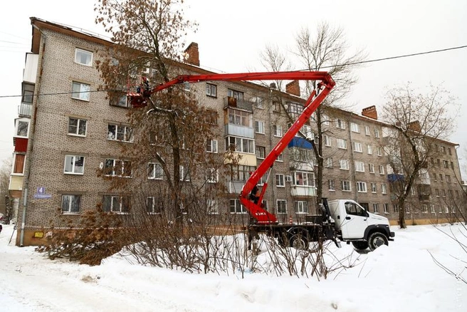 Источник: st.cherinfo.ru
