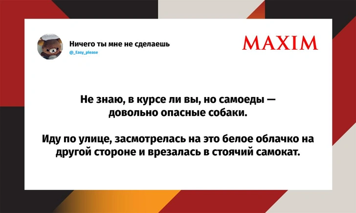 Самые смешные шутки вторника и «взвешенное решение» | Источник: X (Twitter)