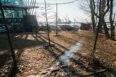 В понедельник в Архангельской области ночью минус, днем дождь