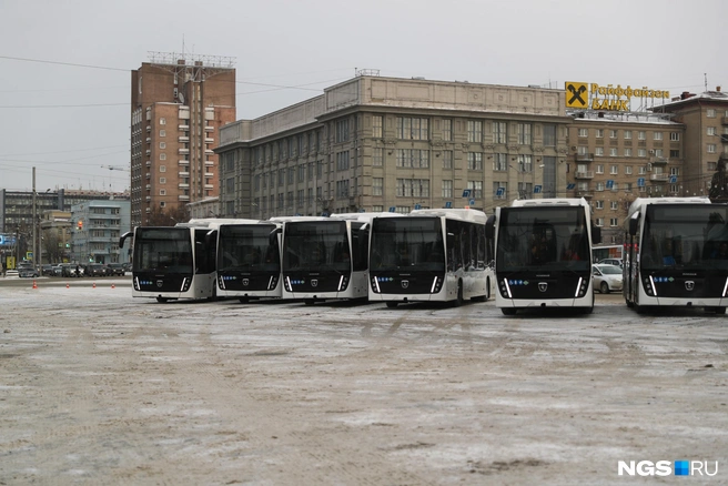 Это новая партия из закупленных осенью 150 автобусов | Источник: Александр Ощепков