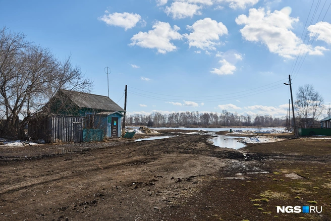 Местные вспоминают, что такое происходит уже в седьмой раз | Источник: Александр Ощепков / NGS.RU
