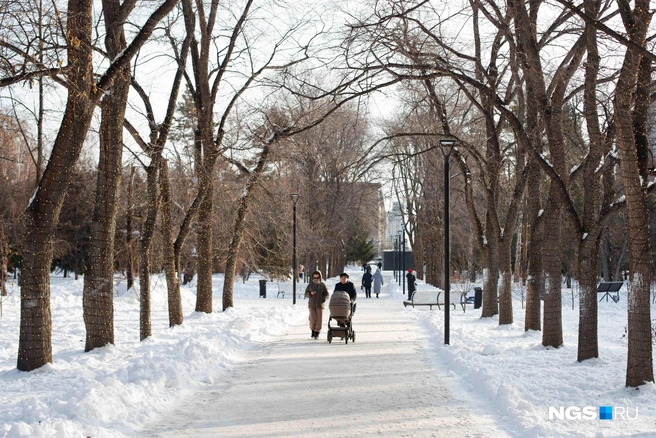 Новогодняя иллюминация сверкает даже днем  | Источник: Андрей Бортко/NGS.RU