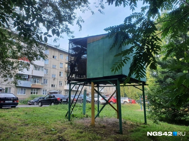 Источник: Полина Чернядьева / NGS42.RU