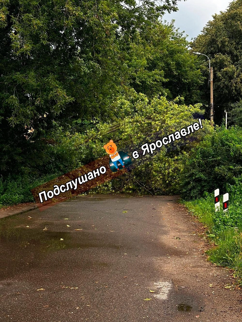 У коммунальщиков добавилось работы | Источник: Подслушано в Ярославле! / Vk.com