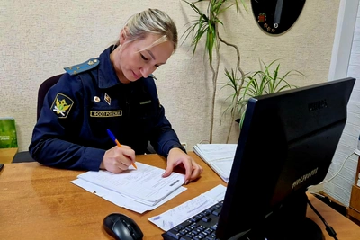 Жительница Моршанска получила 9 месяцев колонии за алименты