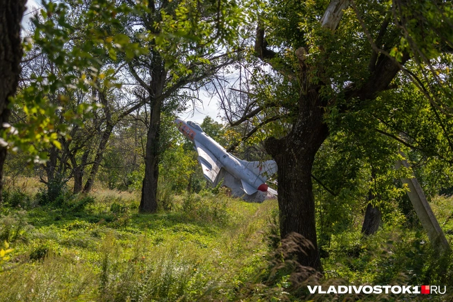 Су-7Б | Источник: Елена Буйвол / VLADIVOSTOK1.RU