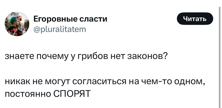 Источник: X (Twitter)