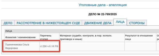 Жалобы подавали как адвокат осужденной, так и прокуратура | Источник: Оренбургский областной суд