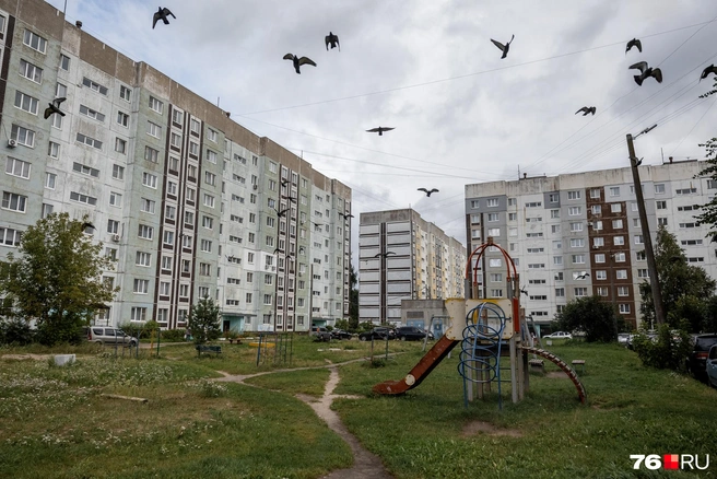 Птицы рассекают небо над двором на улице Космонавтов | Источник: Александр Куренной / 76.RU