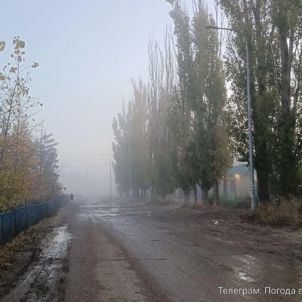 Источник: Meteo Volgograd / Telegram