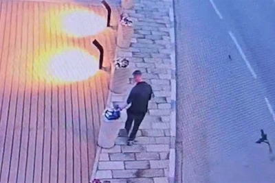 Вандалы в Корсакове сломали фонарь и вырвали цветы