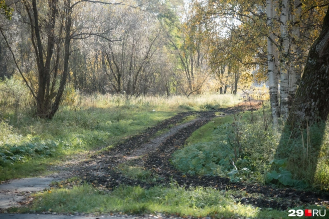 Источник: Иван Митюшёв