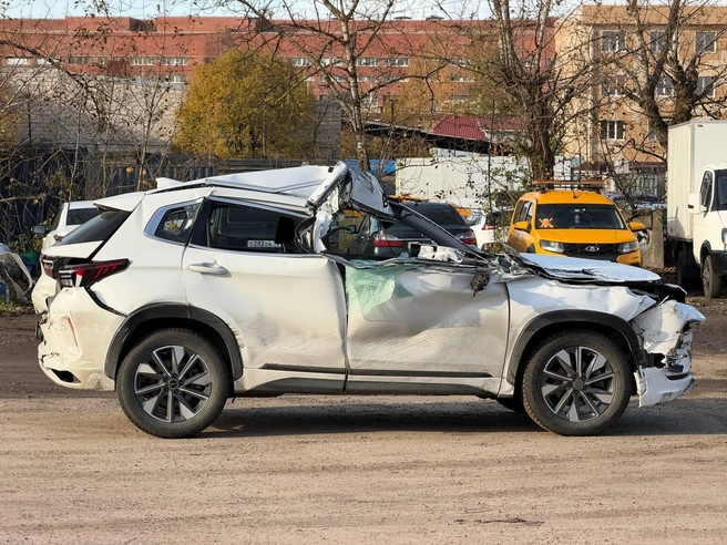 Источник: BIZON-AUTO-SPB-TEAM / t.me