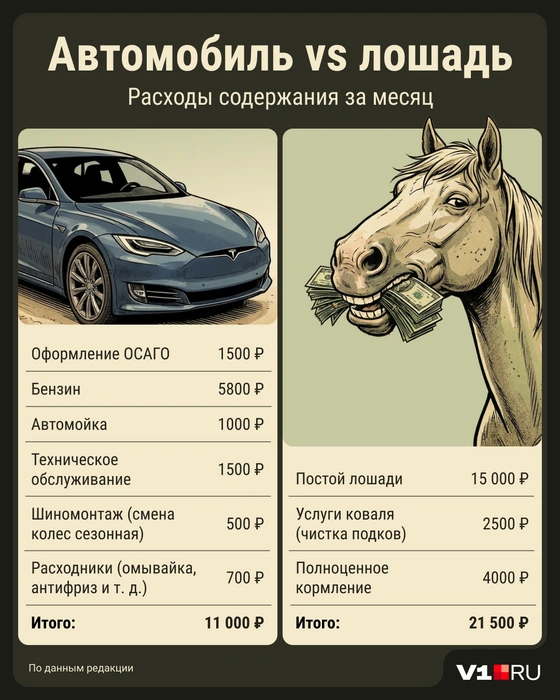 Смотрим, что дешевле | Источник: Мария Романова / Городские медиа