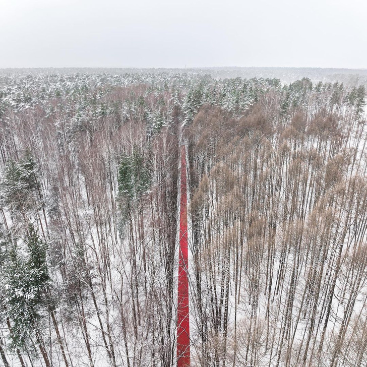 Лэнд-арт проект «Белый лес» открылся в Подмосковье