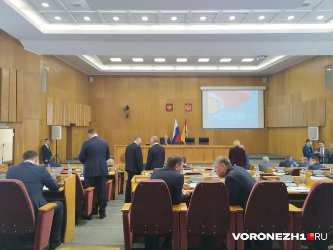 Источник: Дмитрий Волгин / Voronezh1.ru