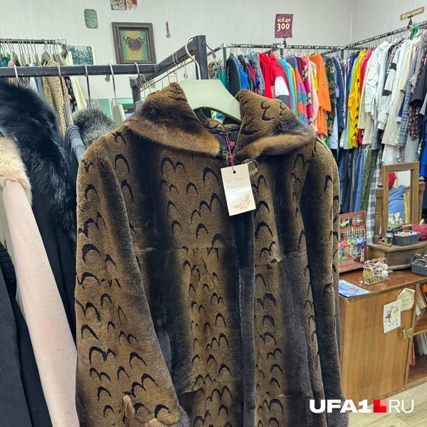 Источник: Назифа Нурмухаметова / UFA1.RU
