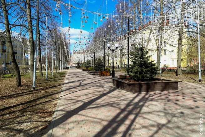 Источник: st.cherinfo.ru