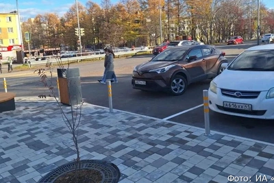 В Елизове нашли недочеты в новом сквере