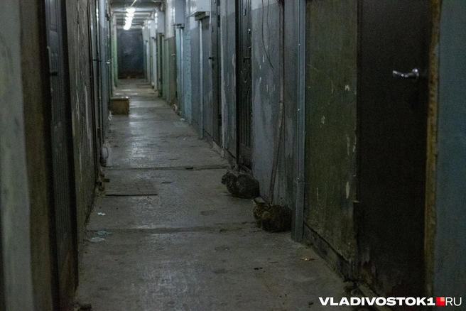 Почему дом в таком состоянии — неизвестно | Источник: Елена Буйвол / VLADIVOSTOK1.RU